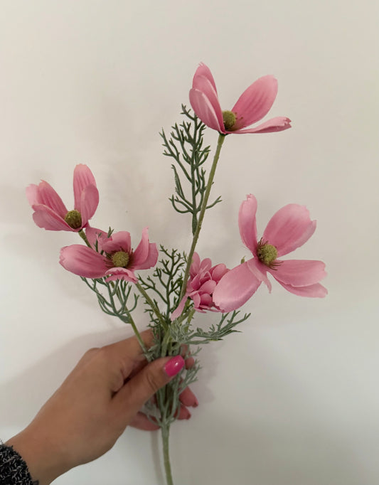 Cosmos Spray (set of 3)