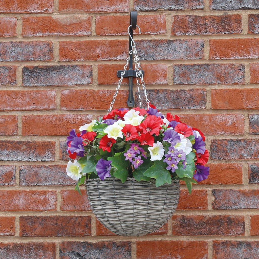 Rainbow Petunia Hanging Basket