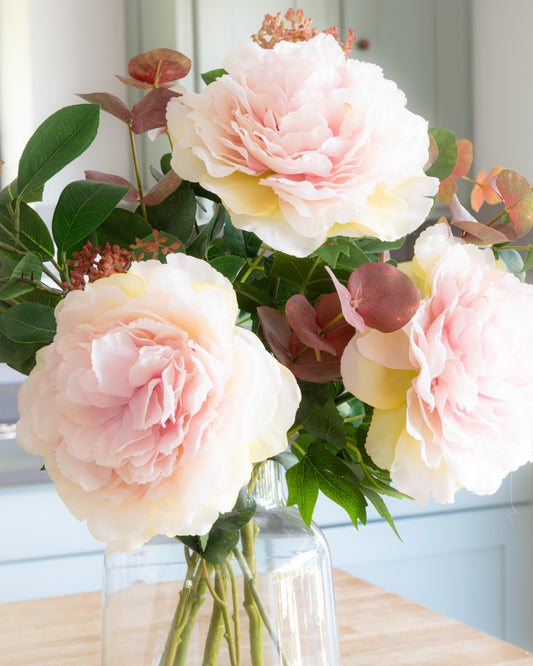 Peonies & Eucalyptus in Vase