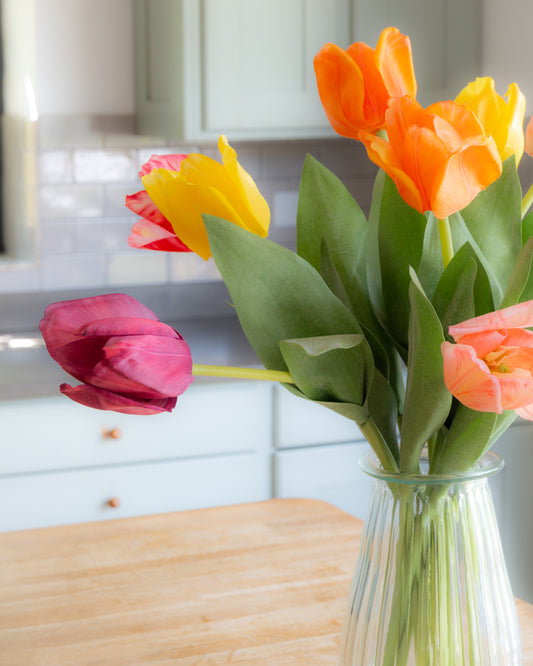 Rainbow of Tulips in Vase
