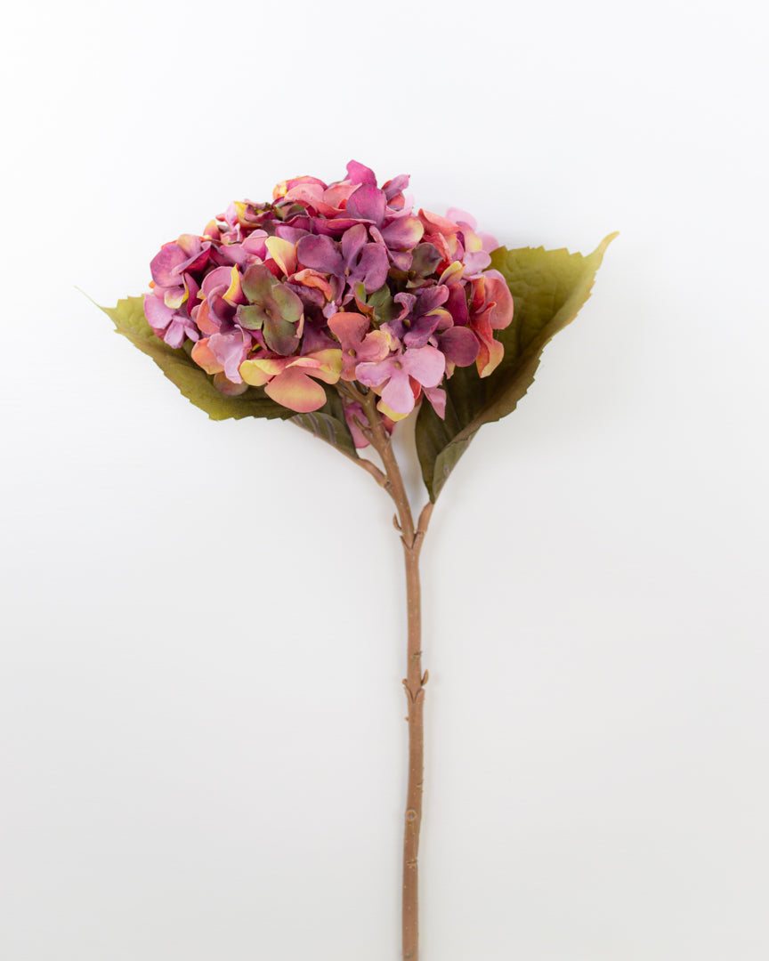 Dried-Look Magenta Hydrangea