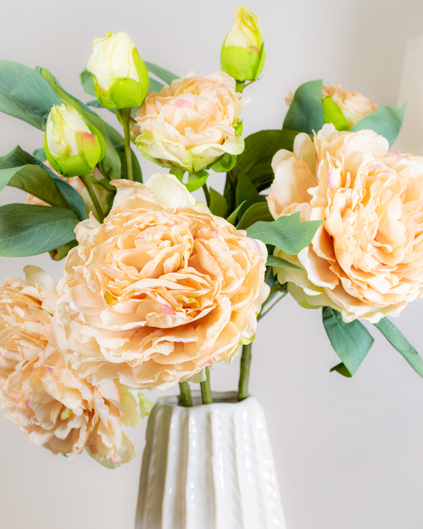 Oyster Dried Touch Peony