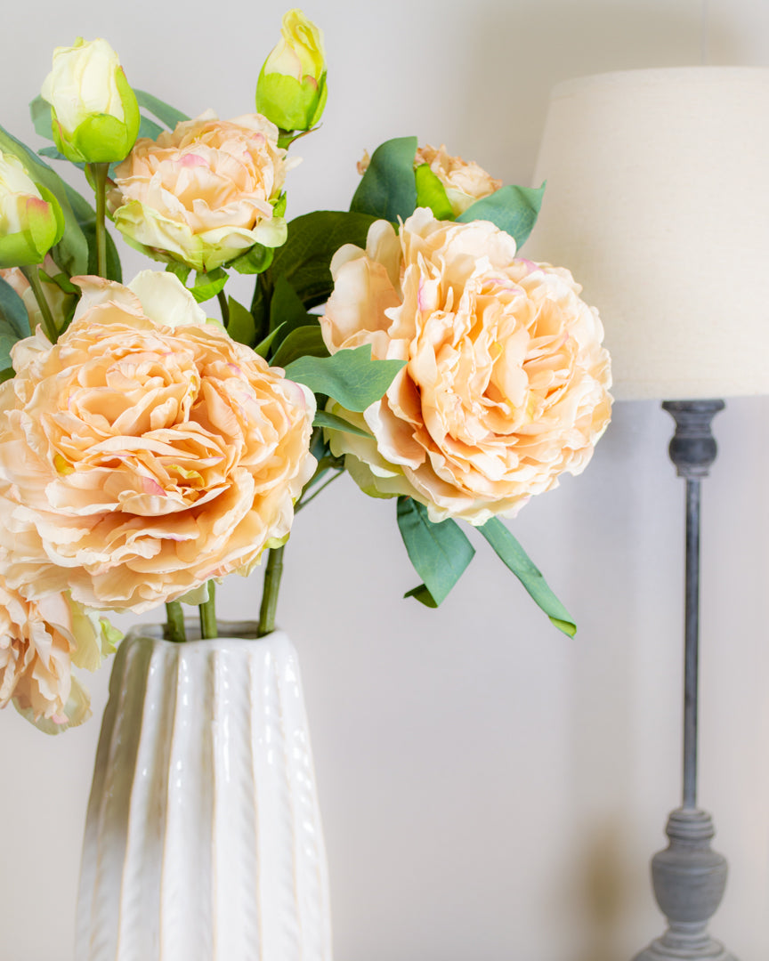 Oyster Dried Touch Peony