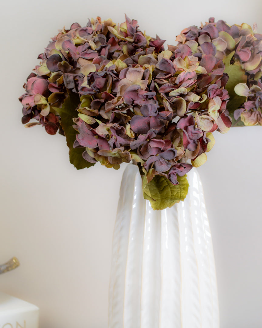 Dried-Look Plum Hydrangea