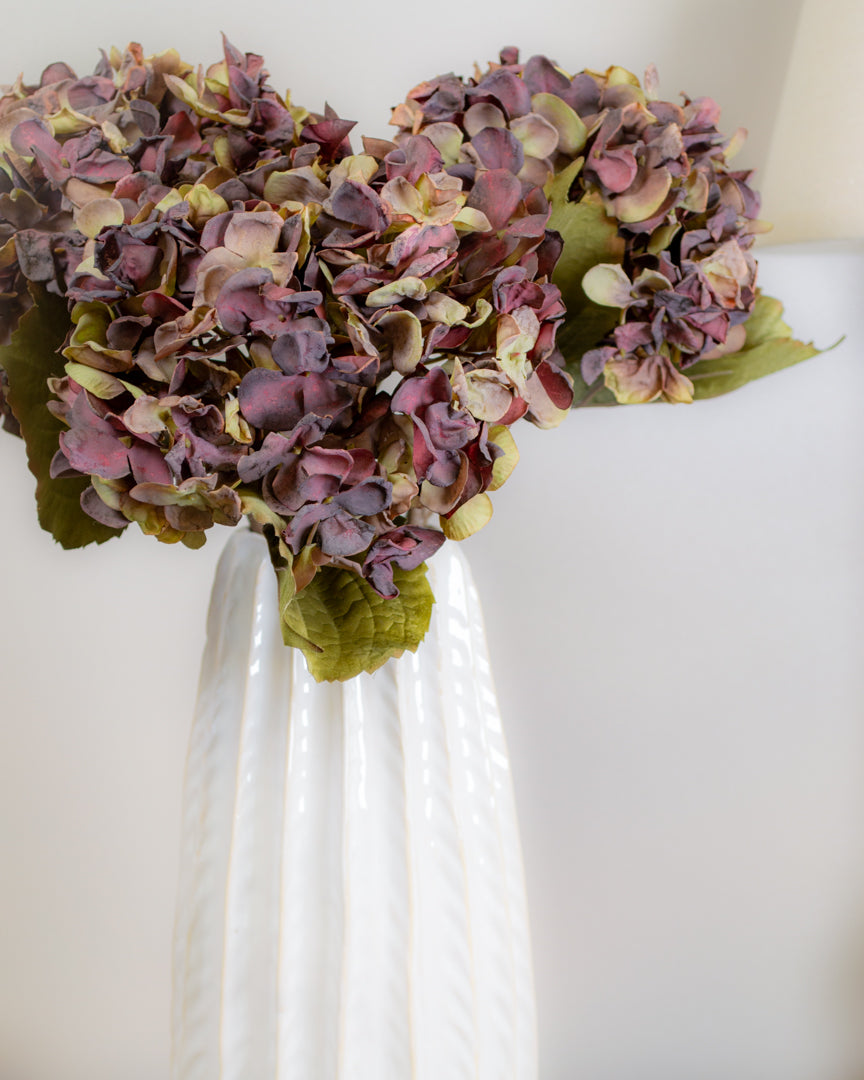 Dried-Look Plum Hydrangea