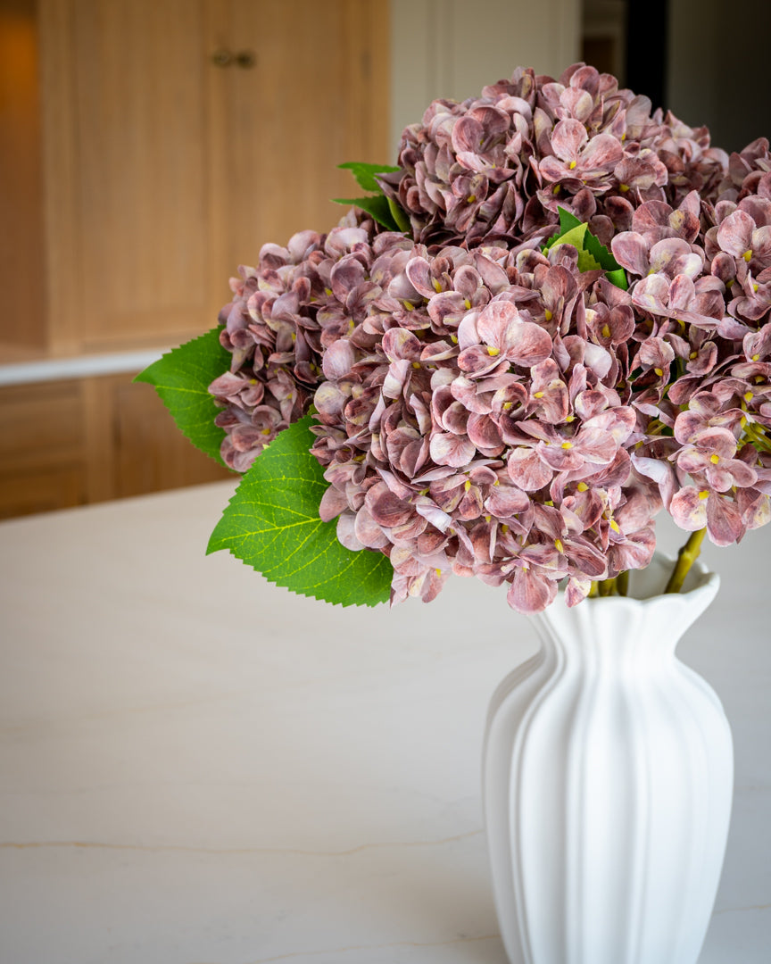 Autumn Mauve Hydrangea