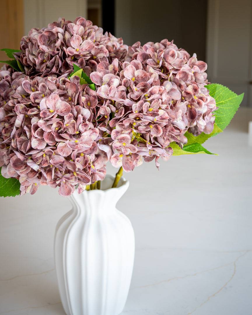 Autumn Mauve Hydrangea