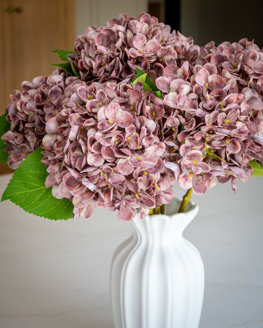 Autumn Mauve Hydrangea