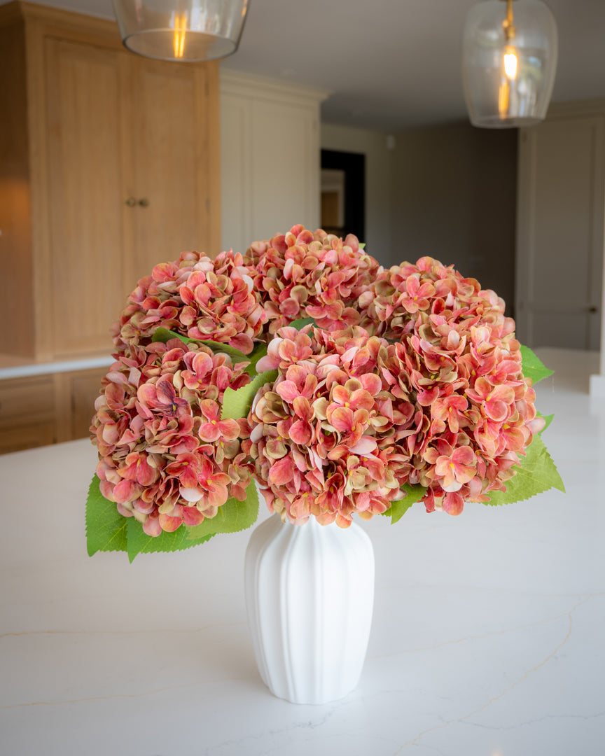 Autumn Red/Green Hydrangea
