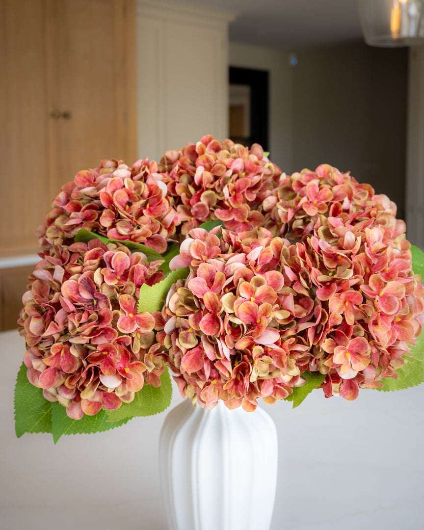 Autumn Red/Green Hydrangea