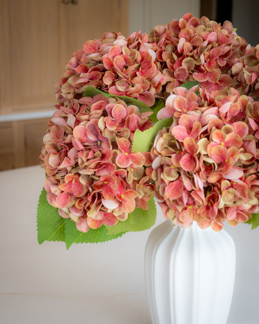 Autumn Red/Green Hydrangea