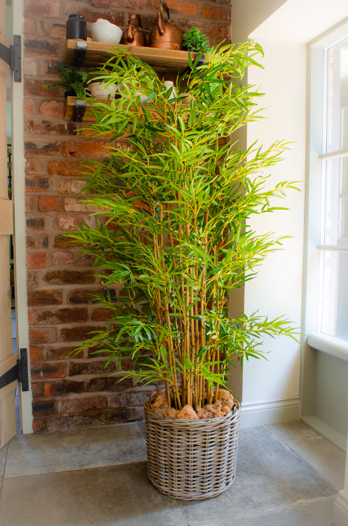potted bamboo plants uk Artificial Luxury Japanese Bamboo – Stem & Silk