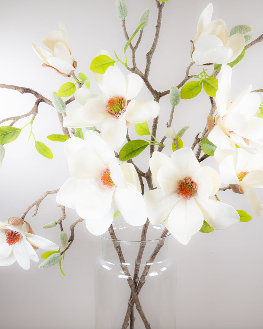 Large Magnolia Branch - Ivory