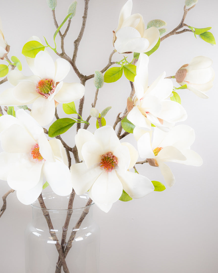 Large Magnolia Branch - Ivory