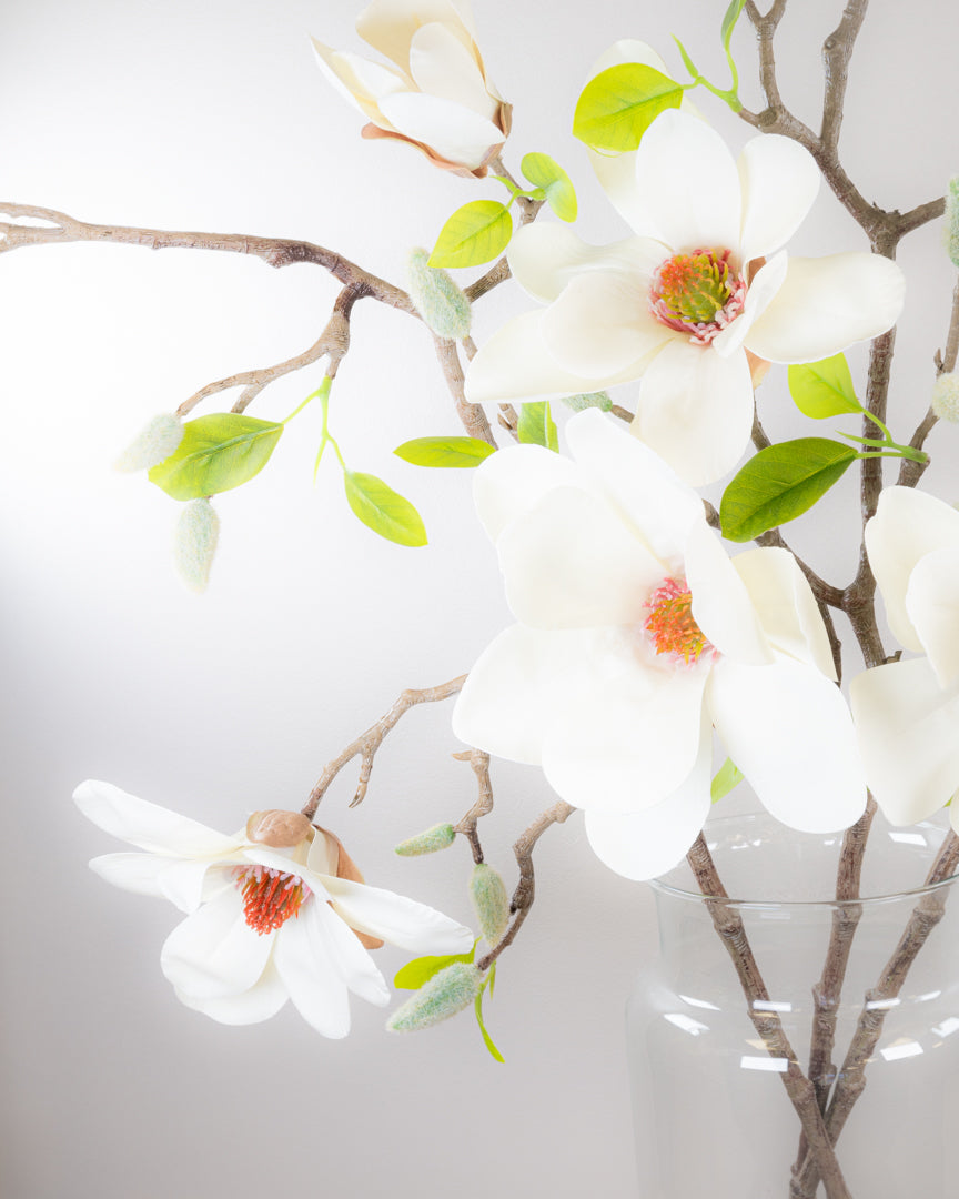 Large Magnolia Branch - Ivory