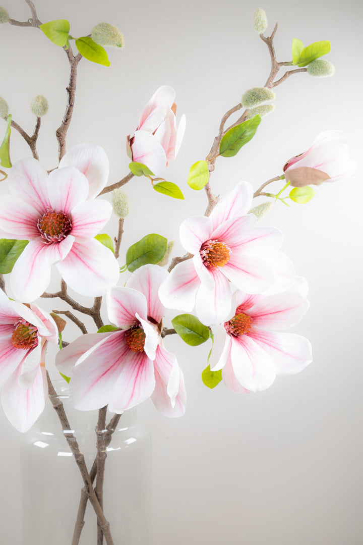 Large Magnolia Branch - Blush