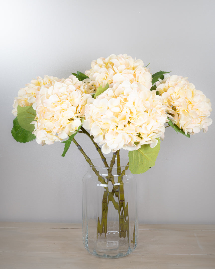 Pastel Spring Hydrangea - Apricot