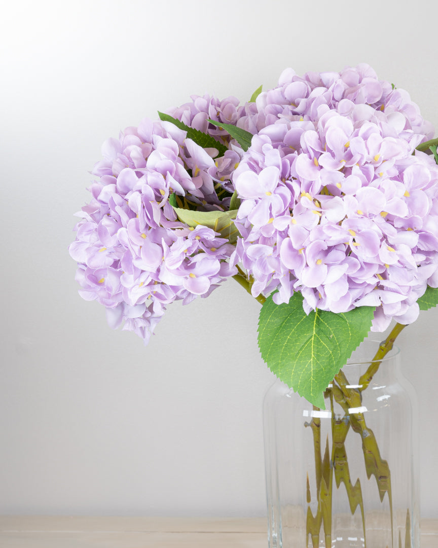 Pastel Spring Hydrangea - Lilac