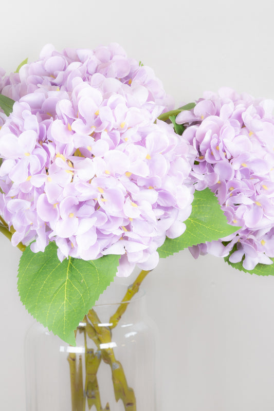 Pastel Spring Hydrangea - Lilac