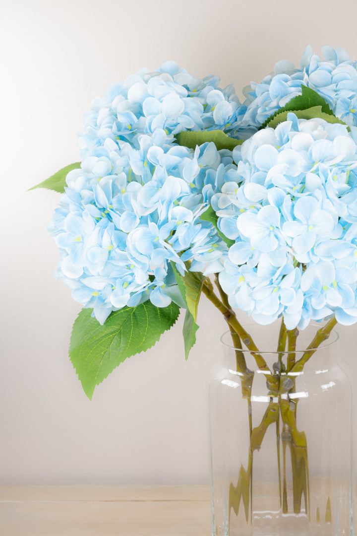 Pastel Spring Hydrangea - Blue