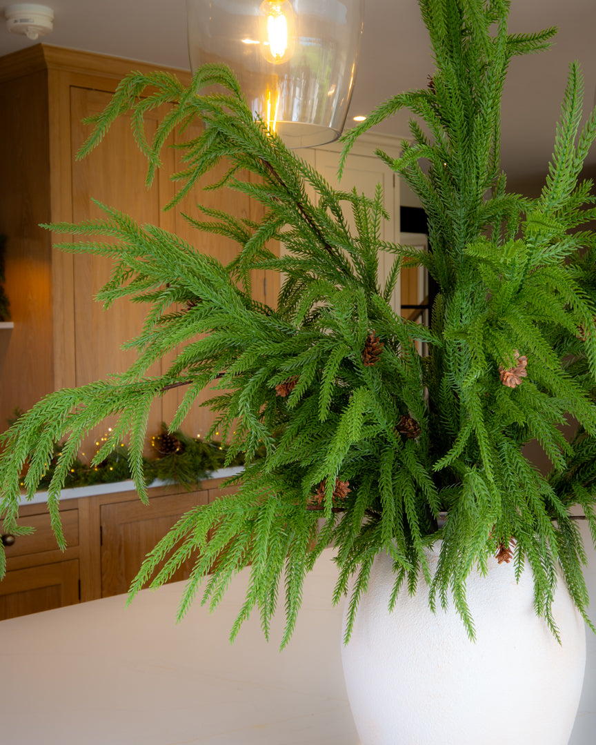 Realistic Weeping Norfolk Pine Branch