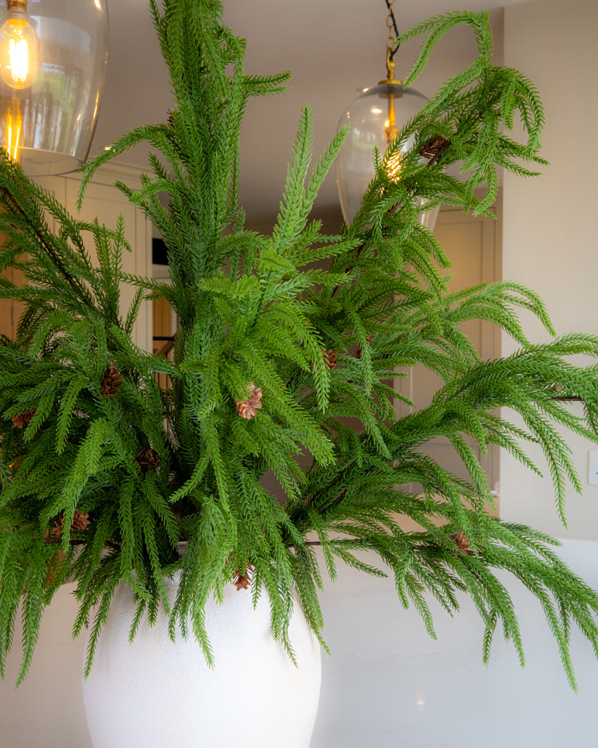 Realistic Weeping Norfolk Pine Branch