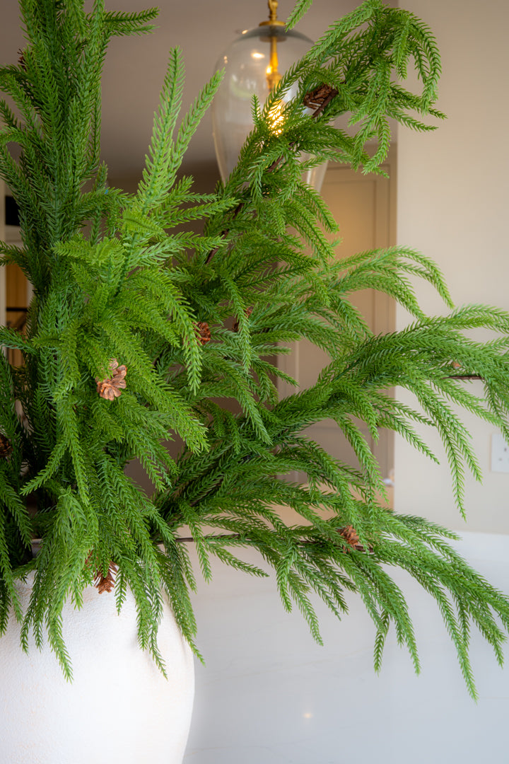 Realistic Weeping Norfolk Pine Branch