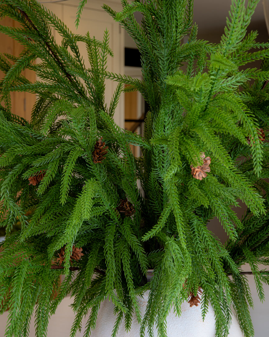 Realistic Weeping Norfolk Pine Branch