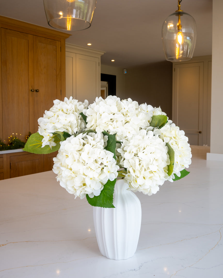 Snow White Winter Hydrangea