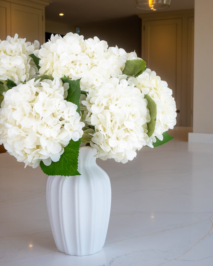 Snow White Winter Hydrangea