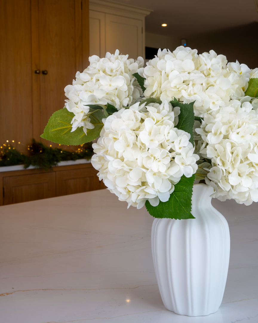 Snow White Winter Hydrangea