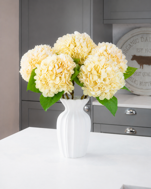 Hydrangea - Apricot