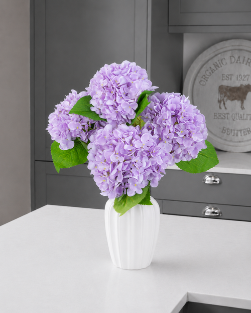 Hydrangea - Lilac