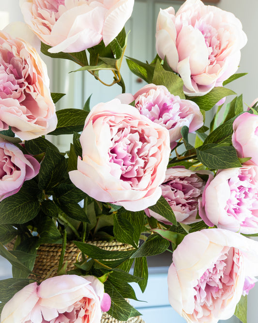 Deluxe Blush Peony Bouquet