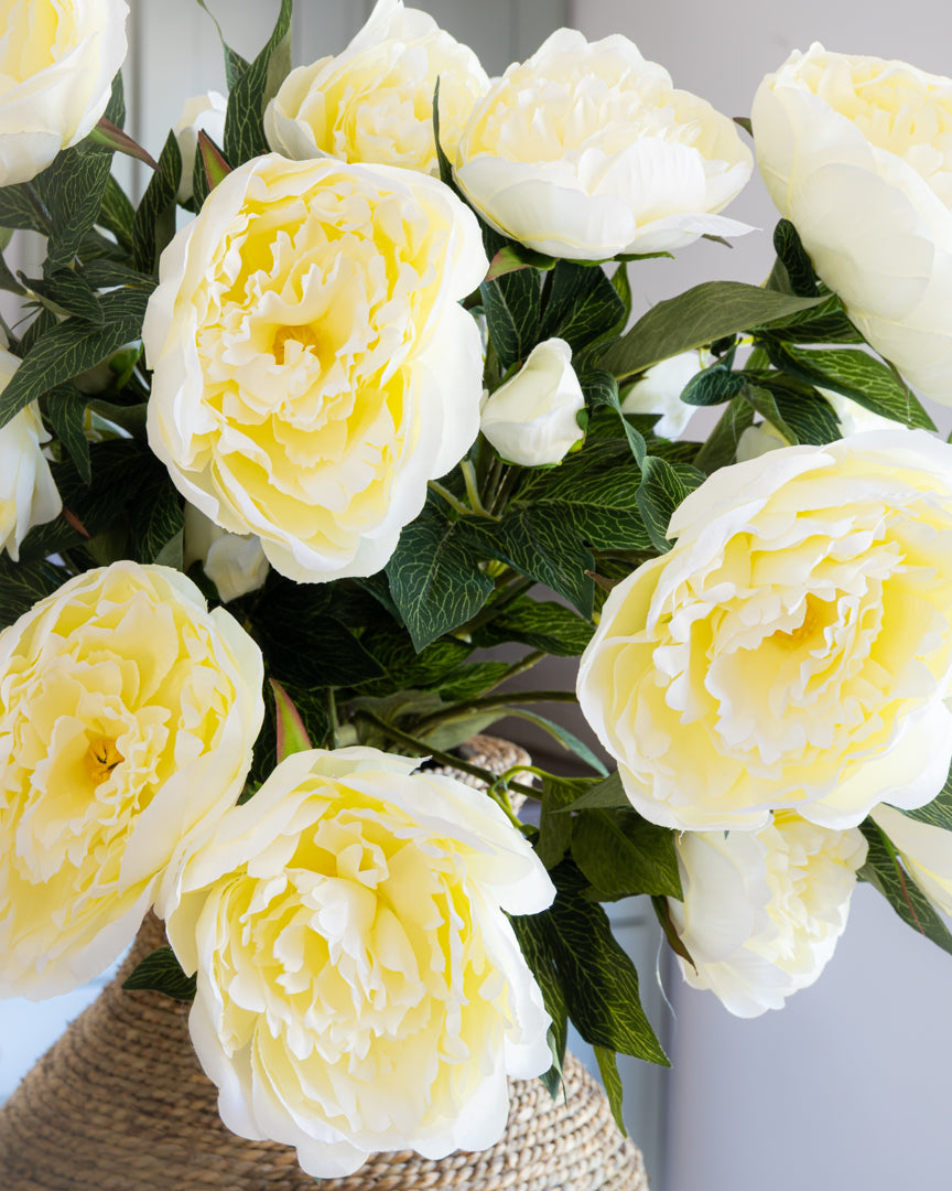 Deluxe Cream Peony Bouquet