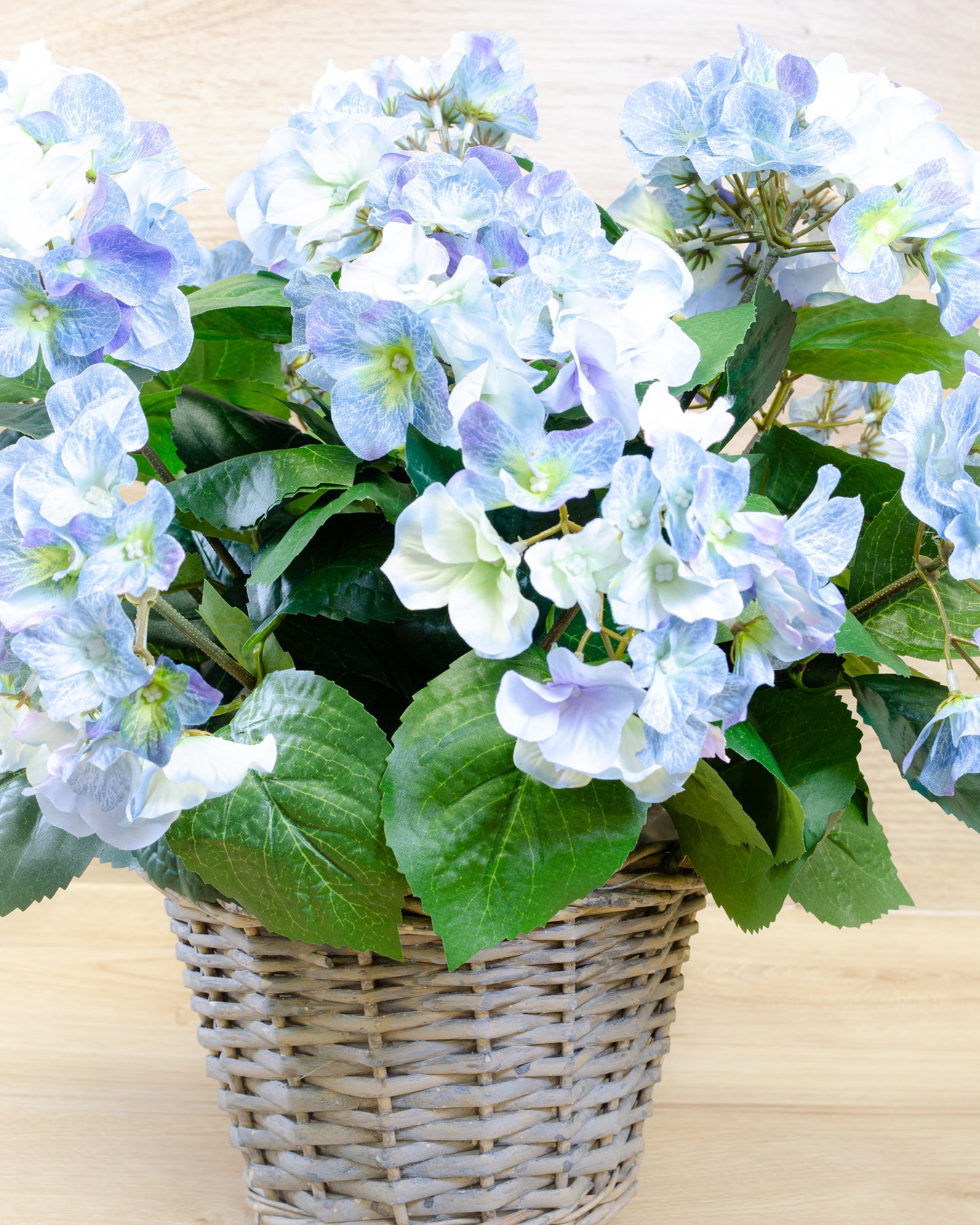 Blue Hydrangea in a Basket