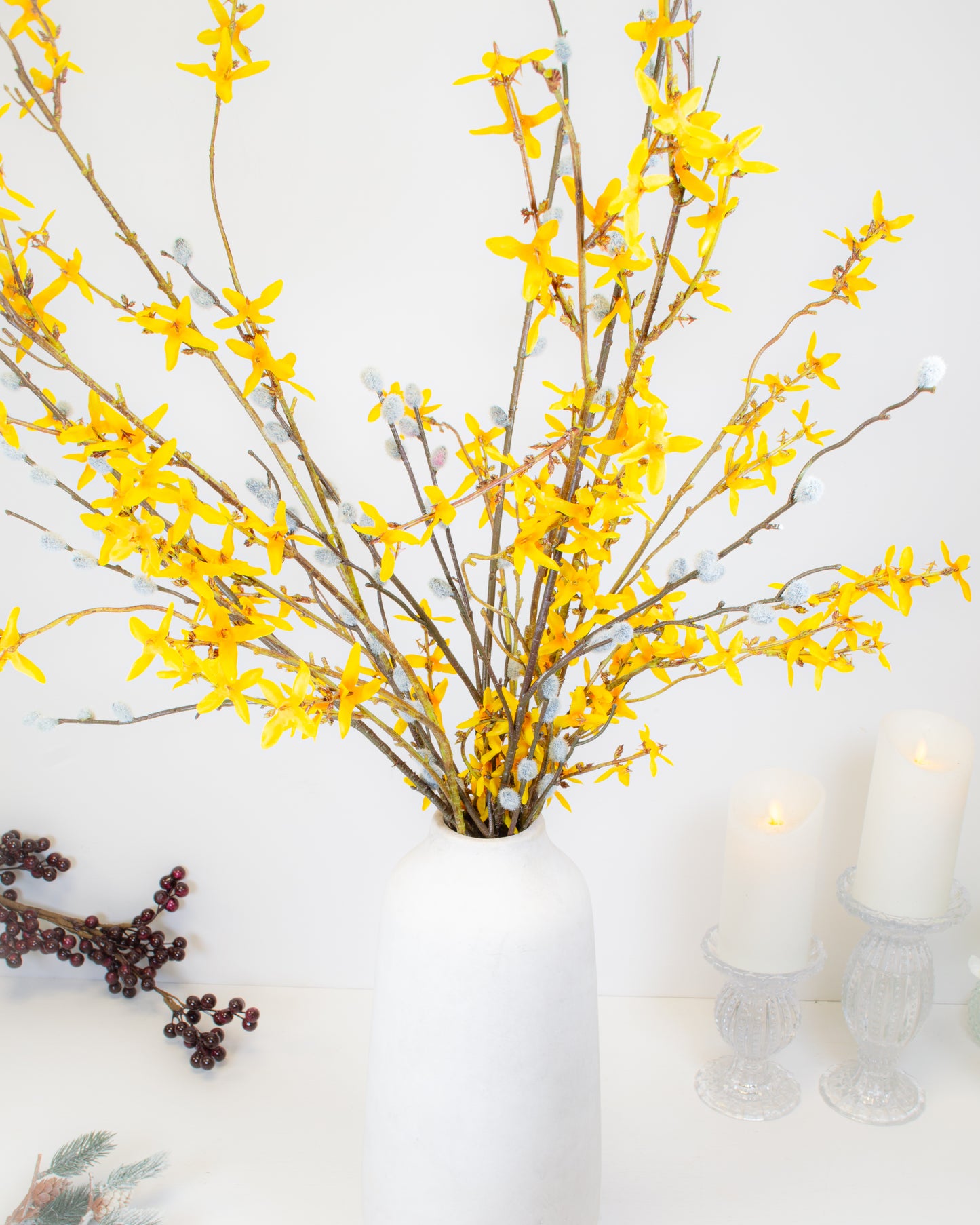 Forsythia Branch Stem
