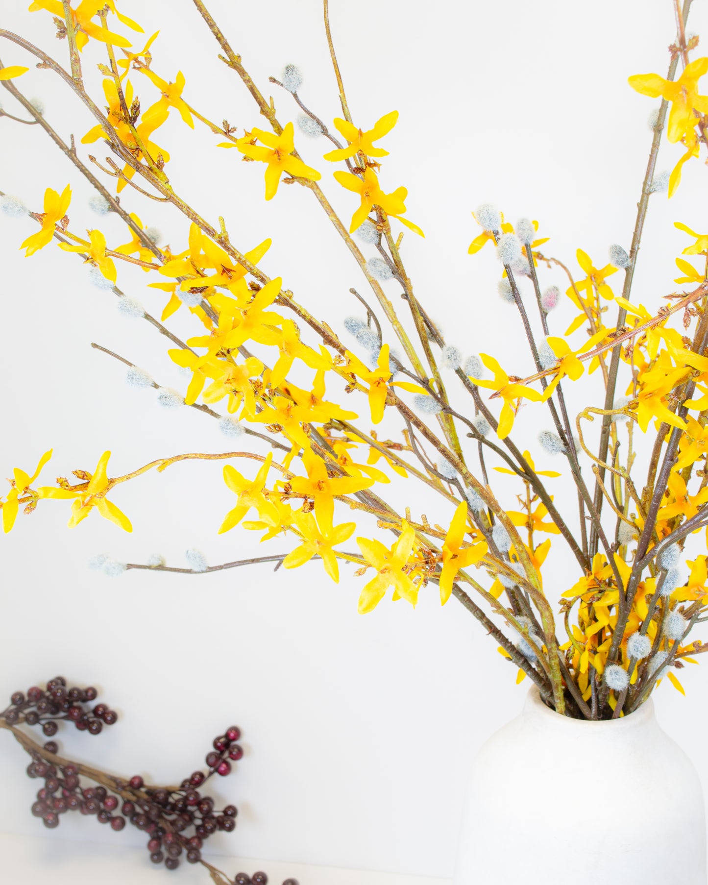 Forsythia Branch Stem
