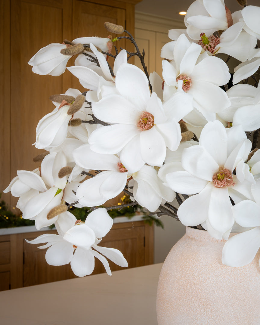 Winter Magnolia Branch