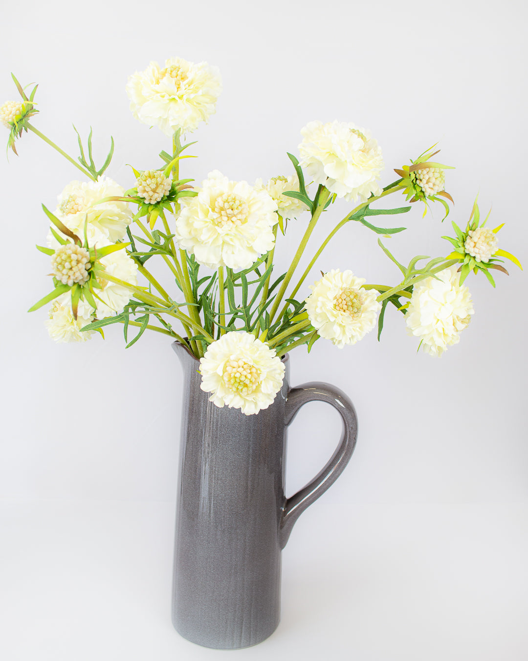 Scabiosa Spray - Cream