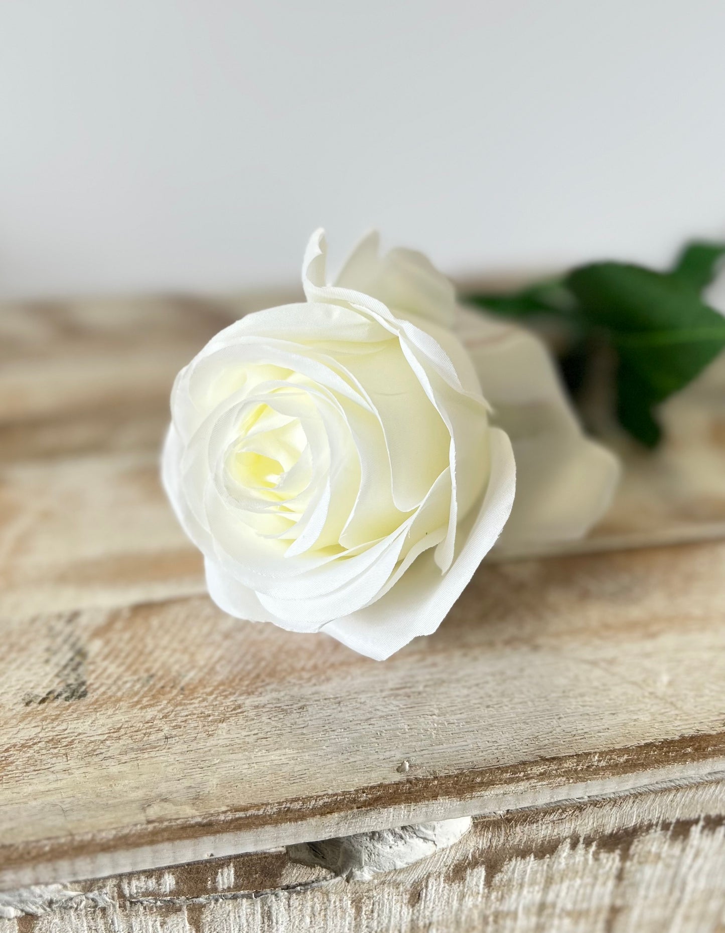 Ivory Rose Stem