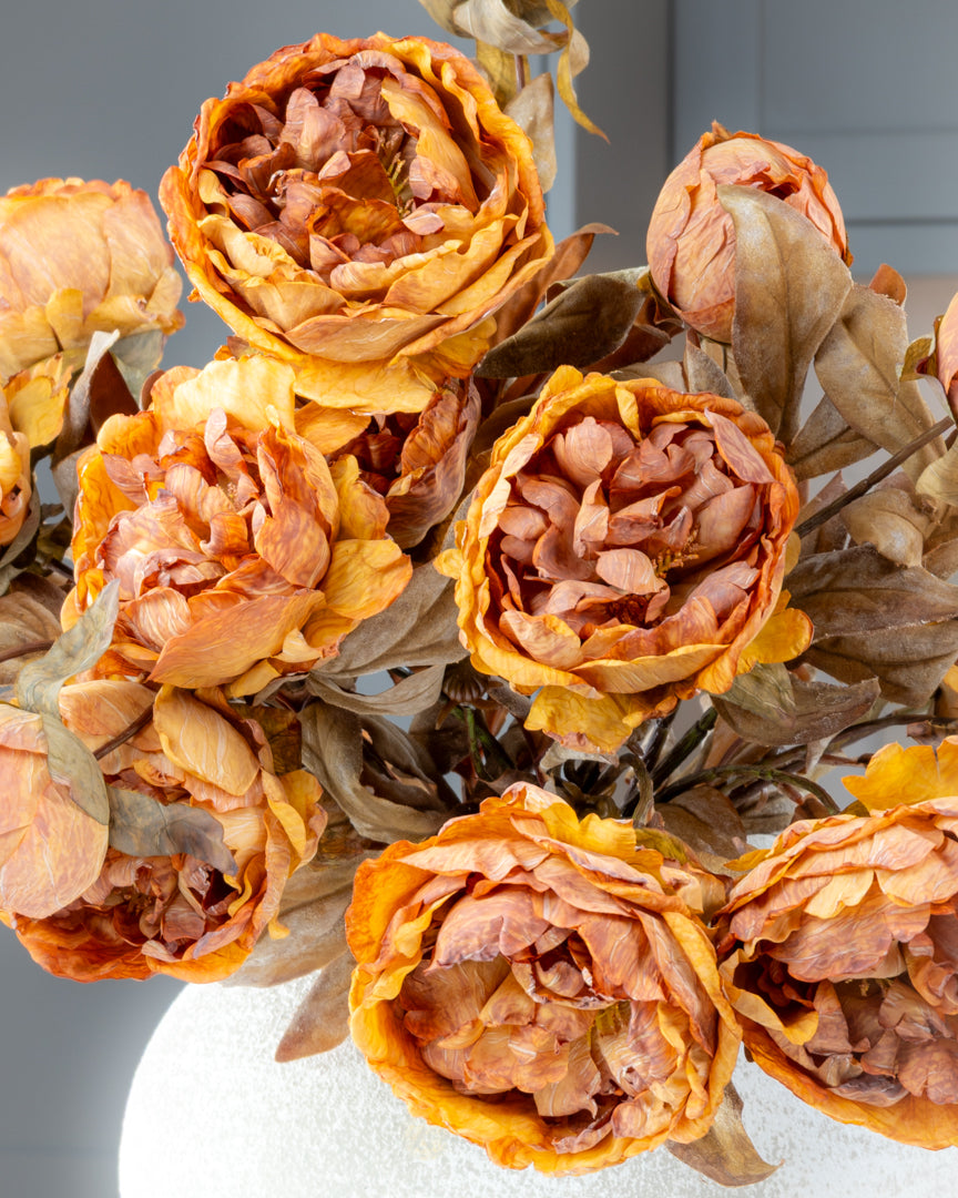 Autumn Peony Dried Spray - Honey