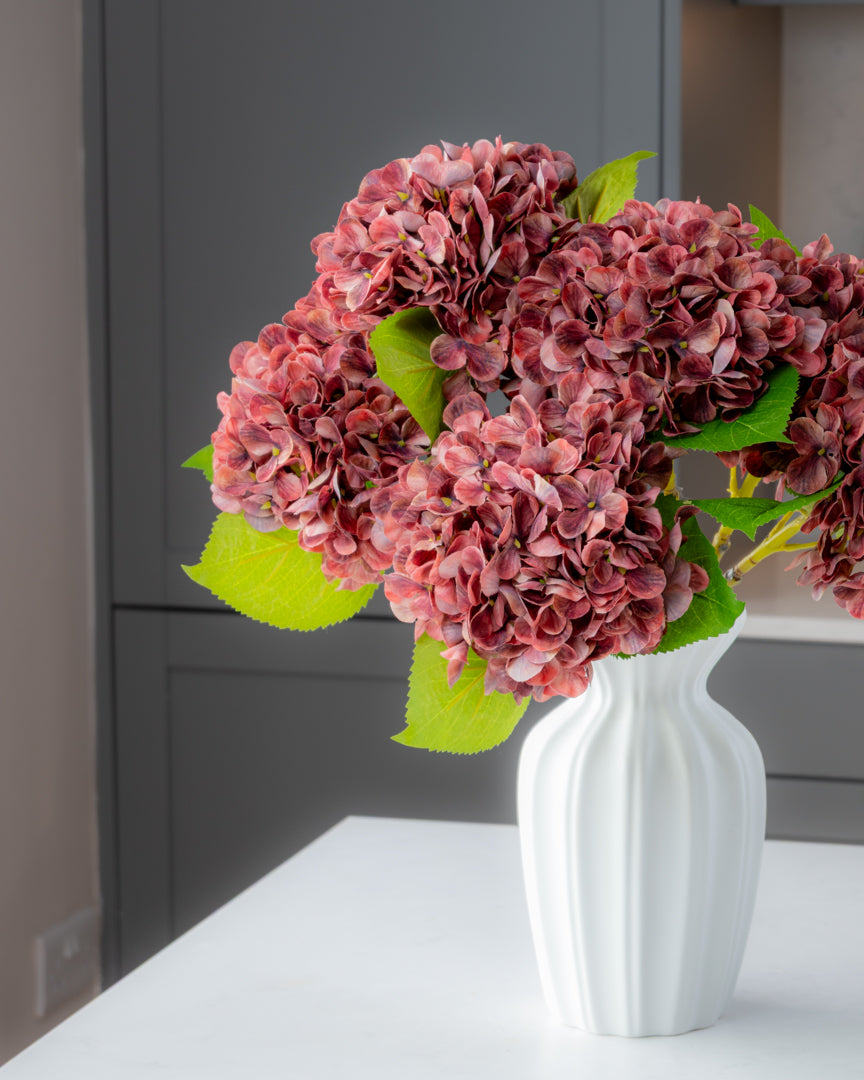 Hydrangea - Autumn Red