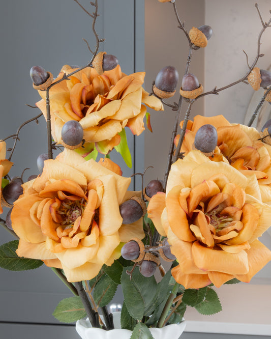 Autumn Garden Rose - Honey