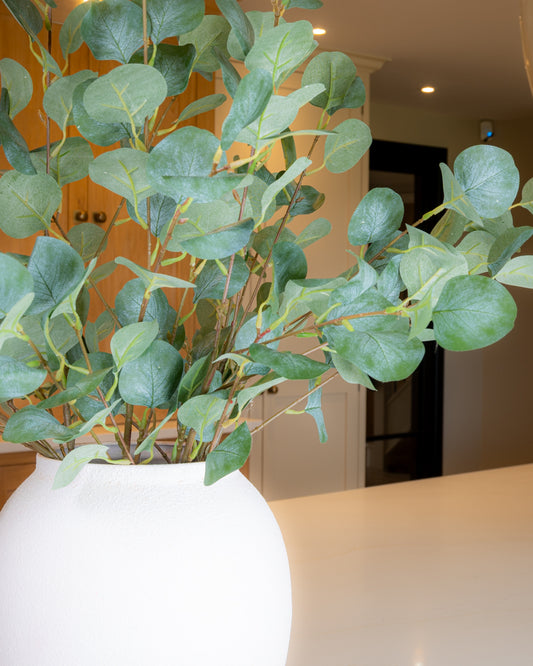 Dollar Eucalyptus Branch