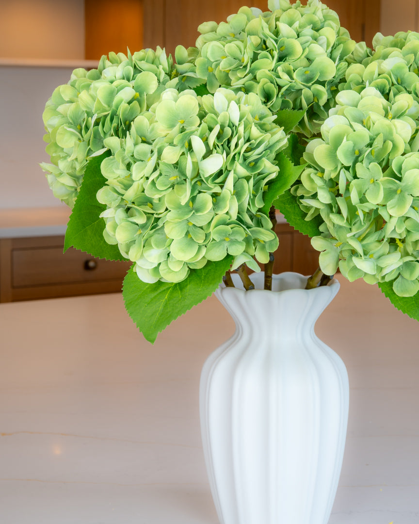 Hydrangea - Green