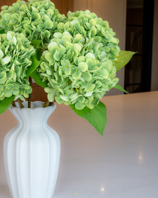 Hydrangea - Green