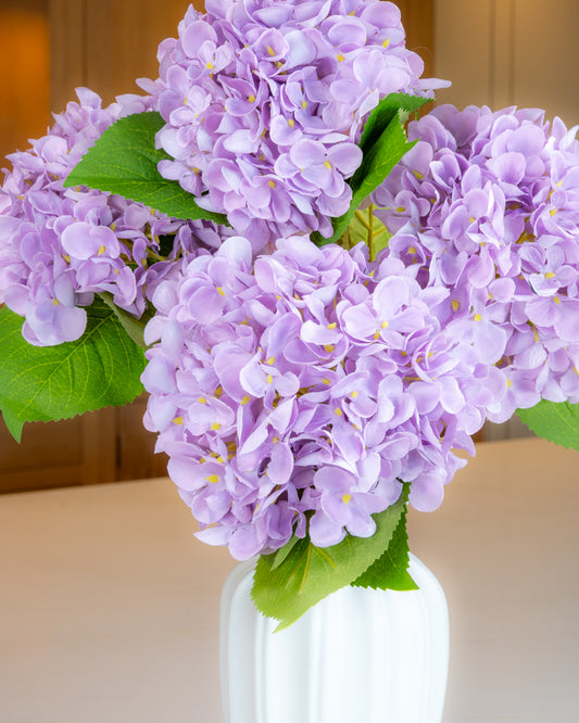 Hydrangea - Lilac
