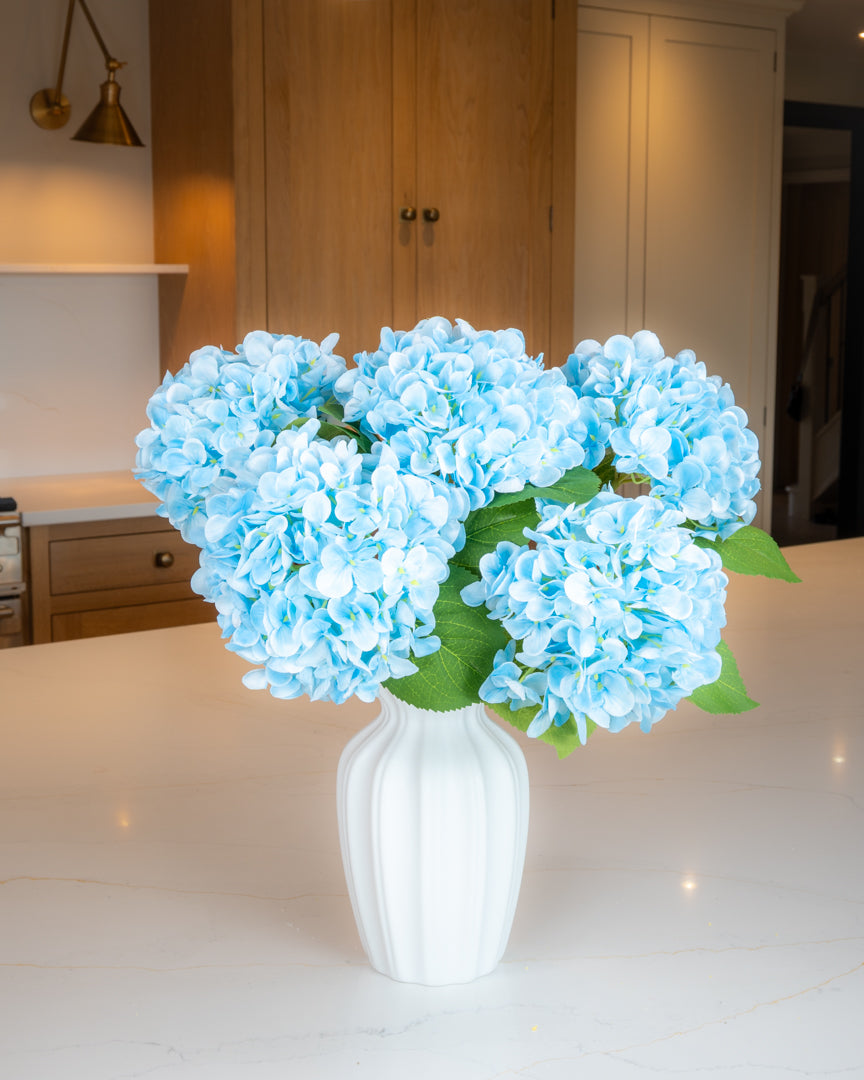 Hydrangea - Blue