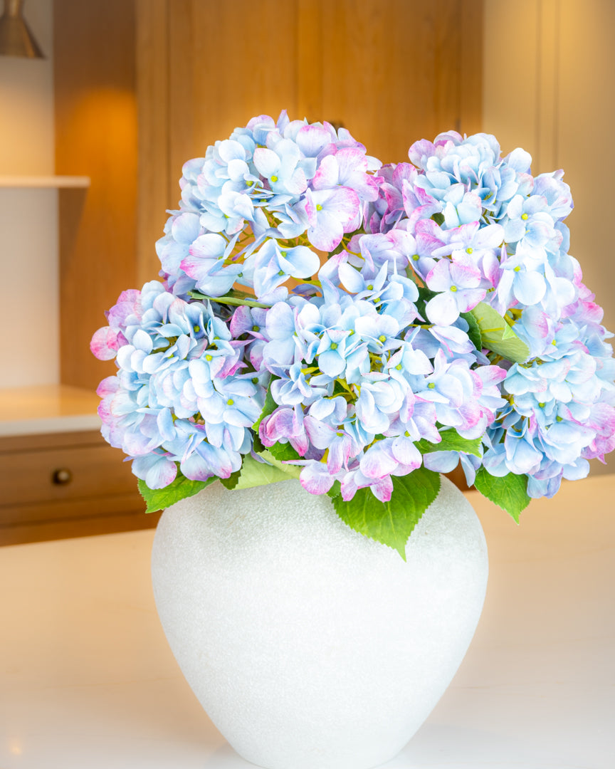 Bloomstruck Hydrangea - Blue/Pink